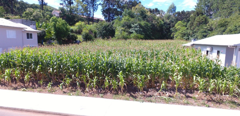 Casa Conteiner a venda em Peritiba